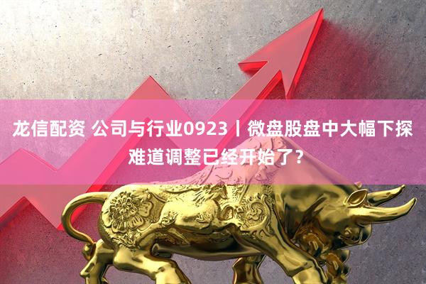 龙信配资 公司与行业0923丨微盘股盘中大幅下探 难道调整已经开始了？