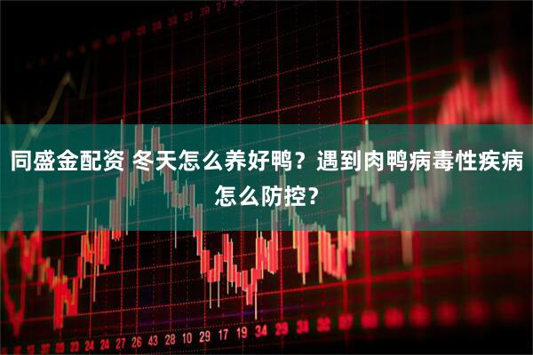 同盛金配资 冬天怎么养好鸭？遇到肉鸭病毒性疾病怎么防控？