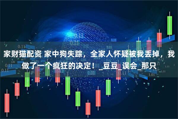 家财猫配资 家中狗失踪，全家人怀疑被我丢掉，我做了一个疯狂的决定！_豆豆_误会_那只