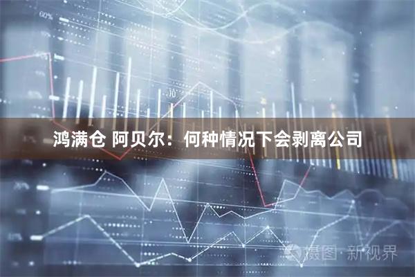 鸿满仓 阿贝尔：何种情况下会剥离公司